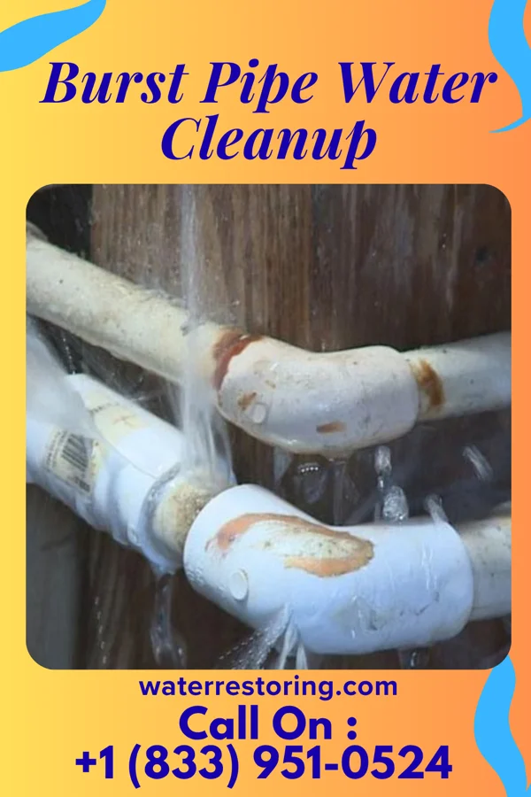 Burst Pipe Water Cleanup in Grosse Pointe Park, MI