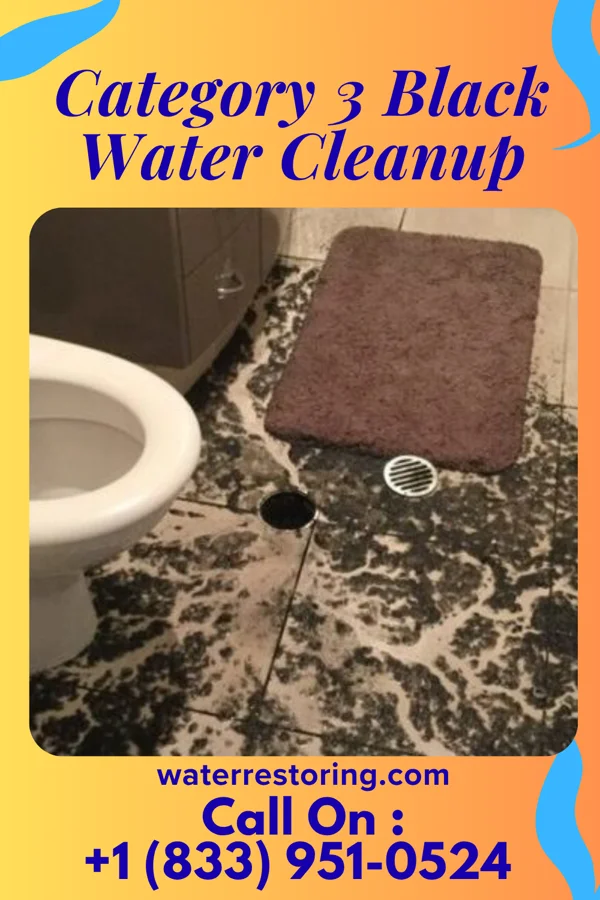 Category 3 Black Water Cleanup in Grosse Pointe Park, MI