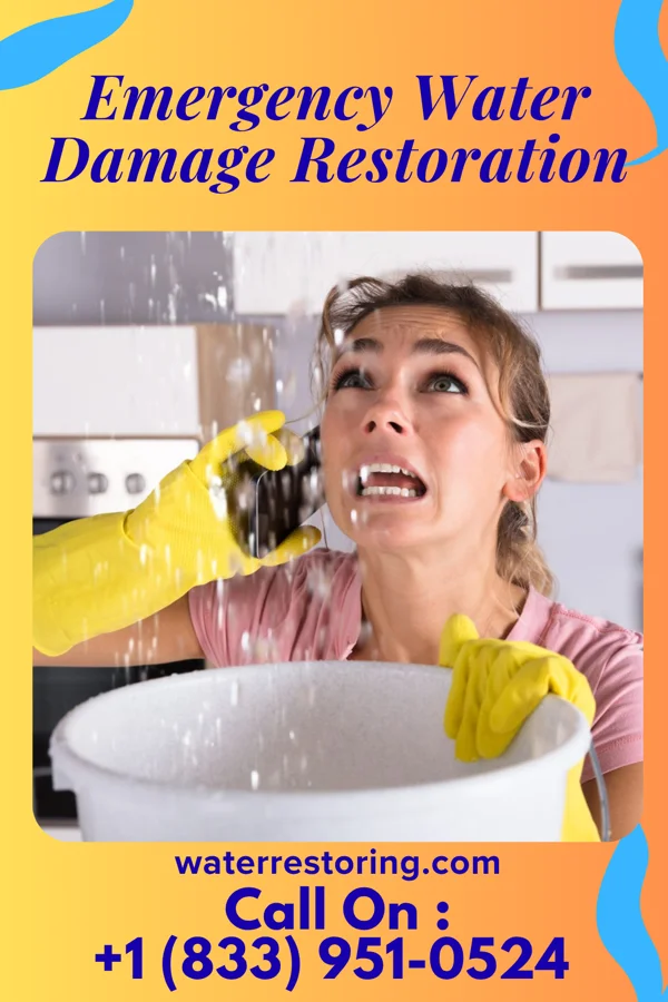 Emergency Water Damage Restoration in Grosse Pointe Park, MI