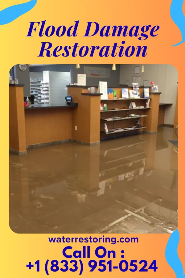 Flood Damage Restoration in Grosse Pointe Park, MI