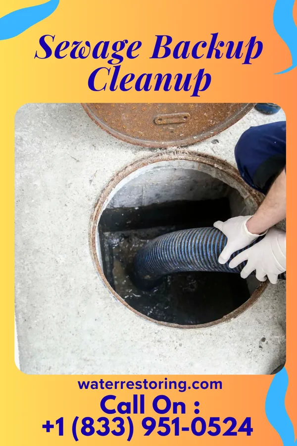 Sewage Backup Cleanup in Grosse Pointe Park, MI